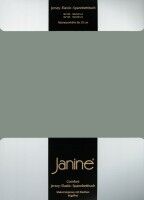 Janine Spannbetttuch Elastic-Jersey 5002 salbeigrün (660)
