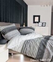 Janine Feinbiberbettwäsche DAVOS 6481 platin graphit